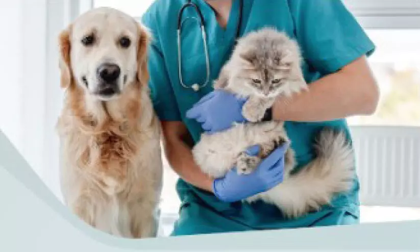 മൃഗസംരക്ഷണം; വെറ്ററിനറി മെഡിക്കല് നിയമം നിലവില്വന്നു മൃഗസംരക്ഷണം; വെറ്ററിനറി മെഡിക്കല് നിയമം നിലവില്വന്നു