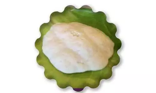 ‘രാമശ്ശേരി ഇഡ്ഡലിക്ക് ഭൗമ സൂചിക പദവി ലഭ്യമാക്കണം’