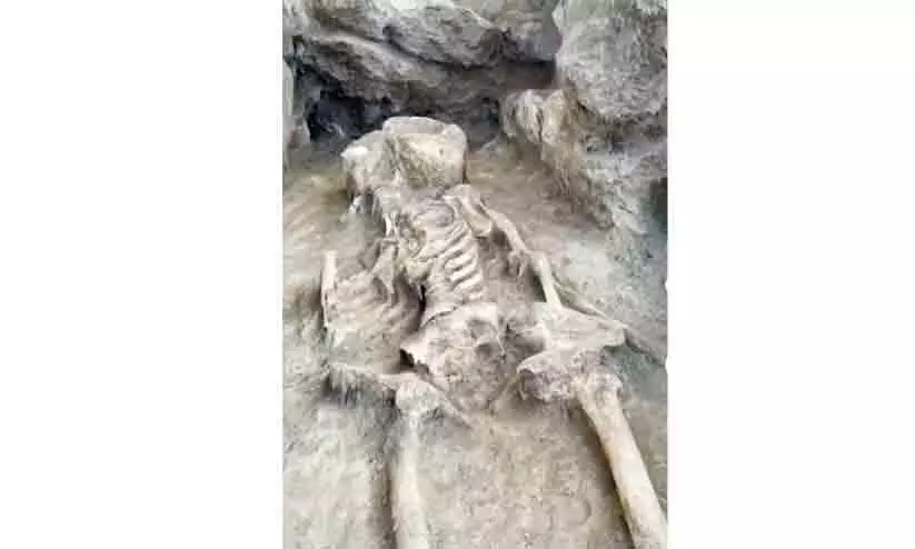 ജ​നാ​ബി​യ​യി​ൽ ടൈ​ലോ​സ് കാ​ല​ഘ​ട്ട​ത്തി​ലെ അ​സ്ഥി​കൂ​ടം ക​ണ്ടെ​ത്തി