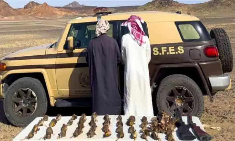 മദീനയിൽ ലൈസൻസില്ലാതെ വേട്ടയാടൽ; രണ്ട് സ്വദേശികൾ അറസ്റ്റിൽ മദീനയിൽ ലൈസൻസില്ലാതെ വേട്ടയാടൽ; രണ്ട് സ്വദേശികൾ അറസ്റ്റിൽ