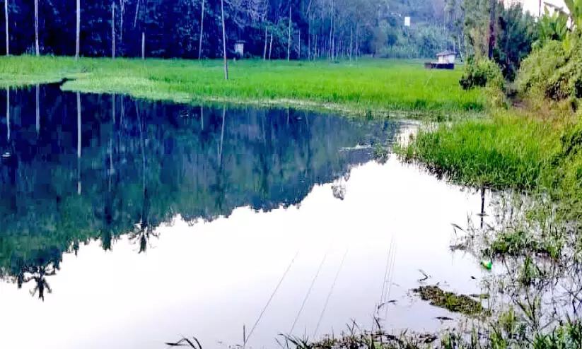 chullikkavu chira,beautiful ,unique,piece,art, ചുള്ളിക്കാവ്ചിറ,തൃശൂർ, വിനോദ സഞ്ചാരകേന്ദ്രം chullikkavu chira,beautiful ,unique,piece,art, ചുള്ളിക്കാവ്ചിറ,തൃശൂർ, വിനോദ സഞ്ചാരകേന്ദ്രം