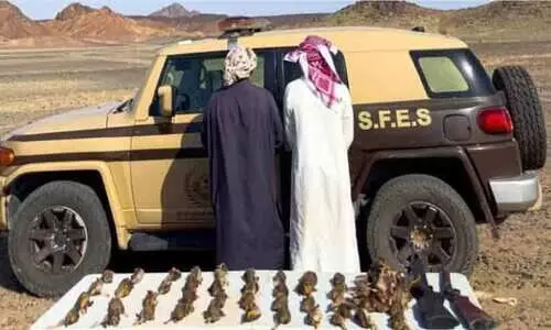 മ​ദീ​ന​യി​ൽ ലൈ​സ​ൻ​സി​ല്ലാ​തെ വേ​ട്ട​യാ​ട​ൽ; ര​ണ്ട് സ്വ​ദേ​ശി​ക​ൾ അ​റ​സ്​​റ്റി​ൽ