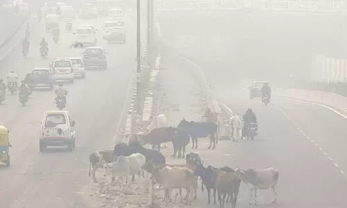 delhi air pollution