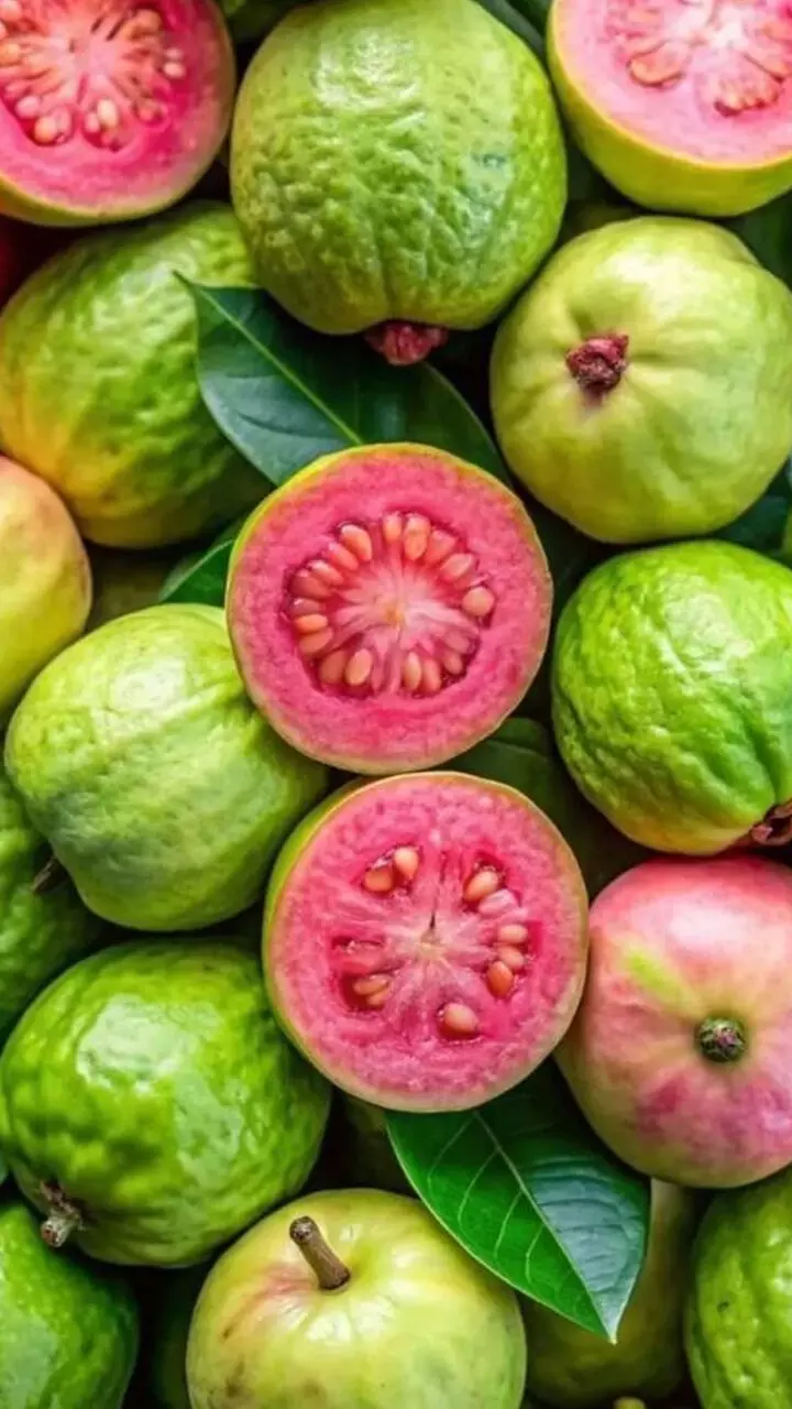 പേരക്ക കഴിച്ചാൽ ആരോഗ്യഗുണങ്ങൾ പലത് പേരക്ക കഴിച്ചാൽ ആരോഗ്യഗുണങ്ങൾ പലത്