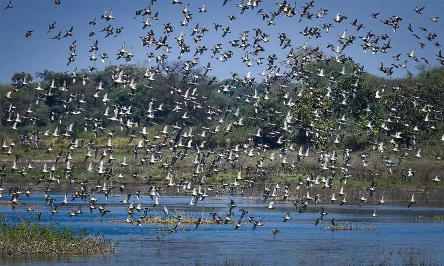 Ramsar,Siliserh Lake,Kopra Reservoir,Wetlands,Biodiversity, തണ്ണീർത്തടങ്ങൾ, ഡൽഹി, ചണ്ഡീഗഡ്, രാജസ്ഥാൻ, സിലിസേർ, കൊപ്ര