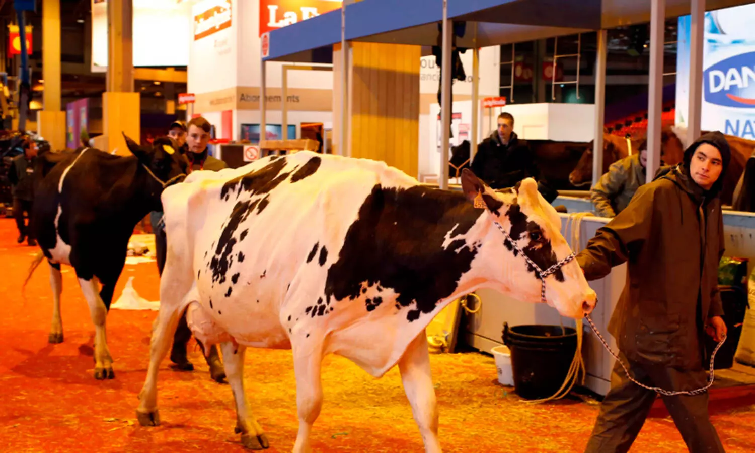 ​ഫ്രാൻസിലെ ഗ്രാമങ്ങളിൽ പകർച്ചവ്യാധി ബാധിച്ച പശുക്കളെ കൂട്ടത്തോടെ കൊന്നൊടുക്കുന്നു; ഗവൺമെന്റ് നടപടിക്കെതിരെ കർഷകരോഷം; പ്രക്ഷോഭം