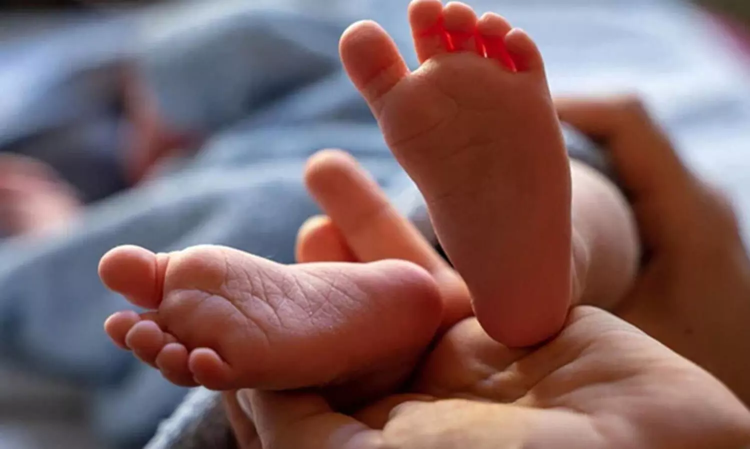 അട്ടപ്പാടിയിൽ നവജാത ശിശു മരിച്ചു