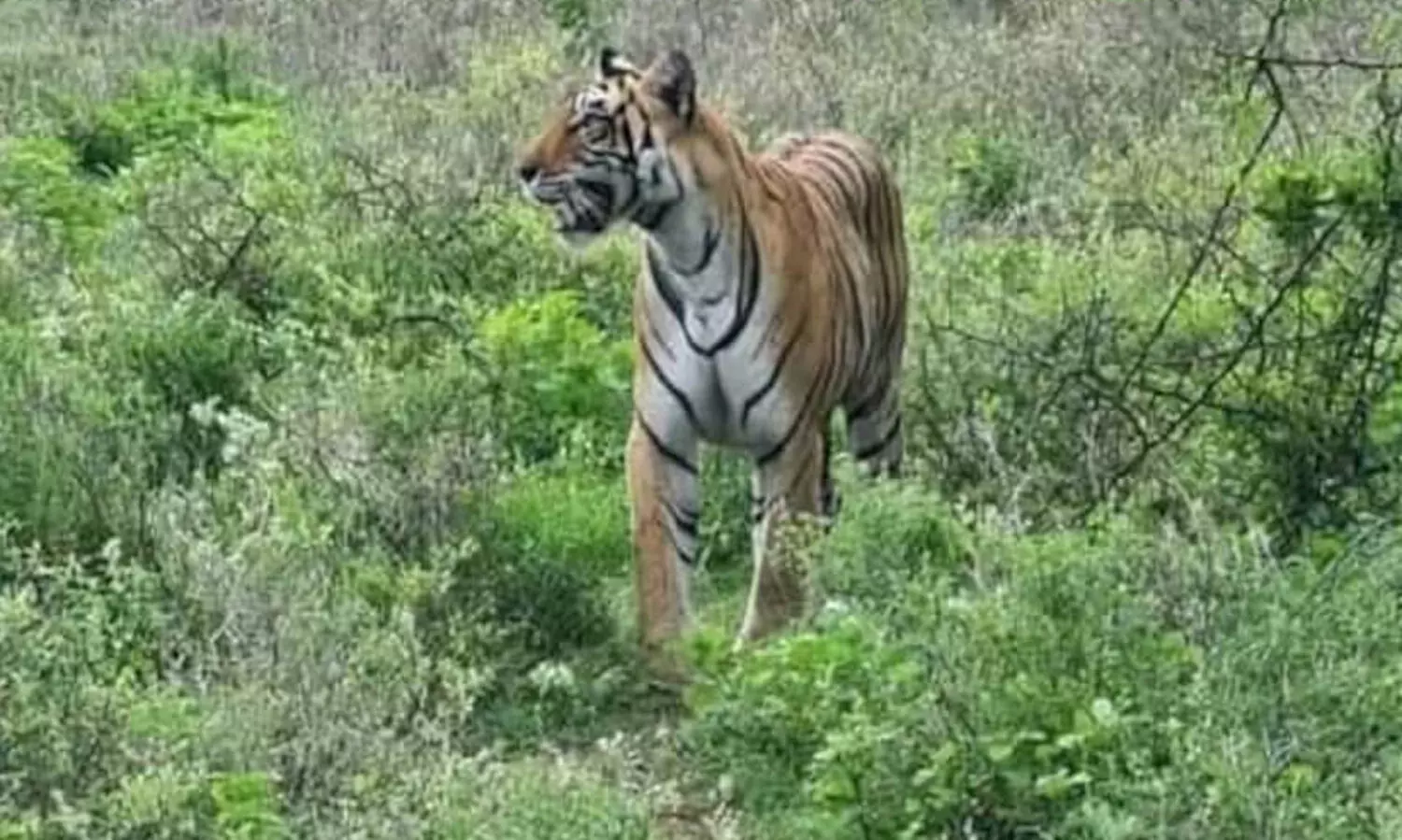 പനമരം, കണിയാമ്പറ്റ പഞ്ചായത്തുകളിൽ നാളെ വിദ്യാഭ്യാസ സ്ഥാപനങ്ങൾക്ക് അവധി