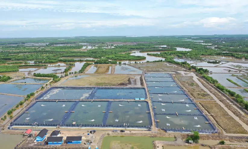 Representation image Representation image