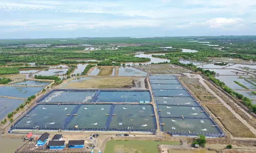 Representation image Representation image