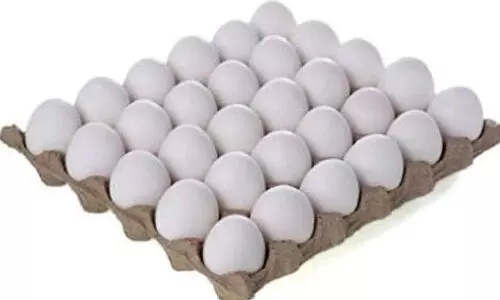 മു​ട്ട കാ​ൻ​സ​റി​ന് കാ​ര​ണ​മാ​കു​മോ? സ​മൂ​ഹ മാ​ധ്യ​മ​ങ്ങ​ളി​ലെ വാ​ദ​ങ്ങ​ൾ വി​ശ്വ​സി​ക്ക​രു​തെ​ന്ന് ആ​രോ​ഗ്യ മ​ന്ത്രി​