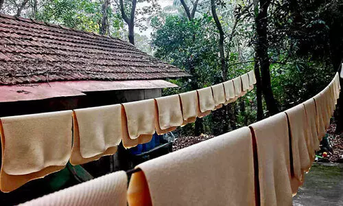 റബർ വിപണിയിൽ തകർച്ച, പ്രഖ്യാപനങ്ങൾ കടലാസിലൊതുങ്ങി; കർഷകർ പ്രതിസന്ധിയിൽ