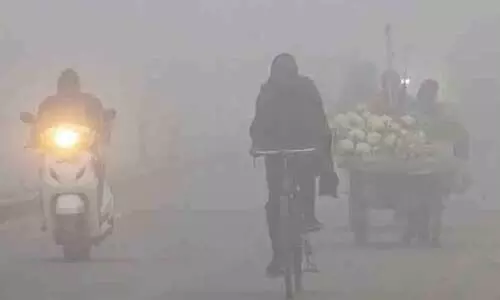 ഡൽഹിയിൽ വായു മലിനീകരണം രൂക്ഷം; 50 ശതമാനം ജീവനക്കാർക്ക് വർക് ഫ്രം ഹോം ഡൽഹിയിൽ വായു മലിനീകരണം രൂക്ഷം; 50 ശതമാനം ജീവനക്കാർക്ക് വർക് ഫ്രം ഹോം