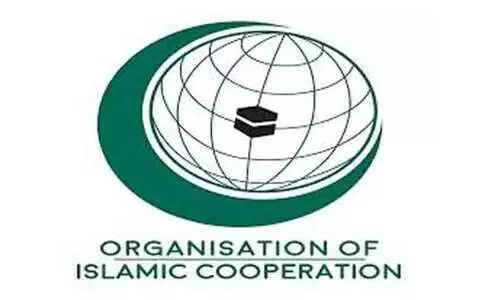 ഫ​ല​സ്തീ​നി​ൽ ഇ​സ്രാ​യേ​ൽ അ​തി​ക്ര​മം തു​ട​രു​ന്നു; ഒരാഴ്ചക്കിടെ കൊല്ലപ്പെട്ടത്​ 303 പേരെന്ന്​ ഒ.ഐ.സി റിപ്പോർട്ട്