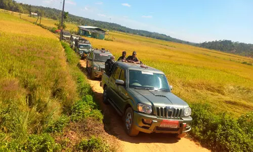 ആശ്വാസം, ഒടുവിൽ കടുവ കാടുകയറി