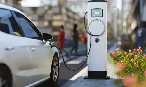 ടാറ്റയുടെ കുത്തക തകർന്നു; ഏറ്റവും കൂടുതൽ വിറ്റത് ചൈനയുടെ ഇ.വി