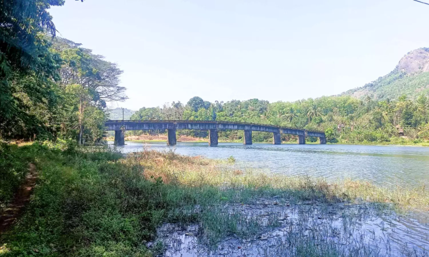 മലങ്കര ജലാശയത്തിൽ 48 ശതമാനം മണ്ണും ചളിയും മണലും; നീക്കം ചെയ്യാൻ നടപടി