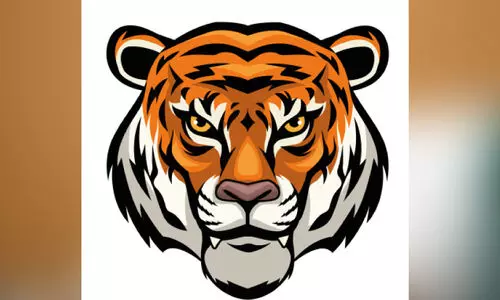 ക​ടു​വ സാ​ന്നി​ധ്യം വീ​ണ്ടും; മ​ല​യോ​ര മേ​ഖ​ല​യി​ൽ നി​രീ​ക്ഷ​ണം ശ​ക്ത​മാ​ക്കി വ​നം വ​കു​പ്പ്