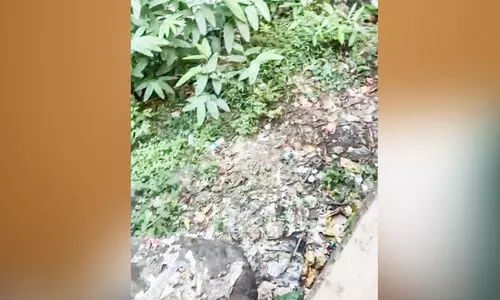 മാലിന്യ വാഹിനിയായി ജില്ലയിലെ പുഴകൾ; ഈ പുഴകളെ ഇങ്ങനെ കൊല്ലണോ ? മാലിന്യ വാഹിനിയായി ജില്ലയിലെ പുഴകൾ; ഈ പുഴകളെ ഇങ്ങനെ കൊല്ലണോ ?