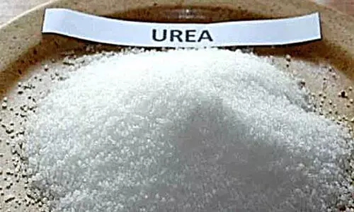 യൂറിയ ക്ഷാമം; നെട്ടോട്ടത്തിൽ കർഷകർ