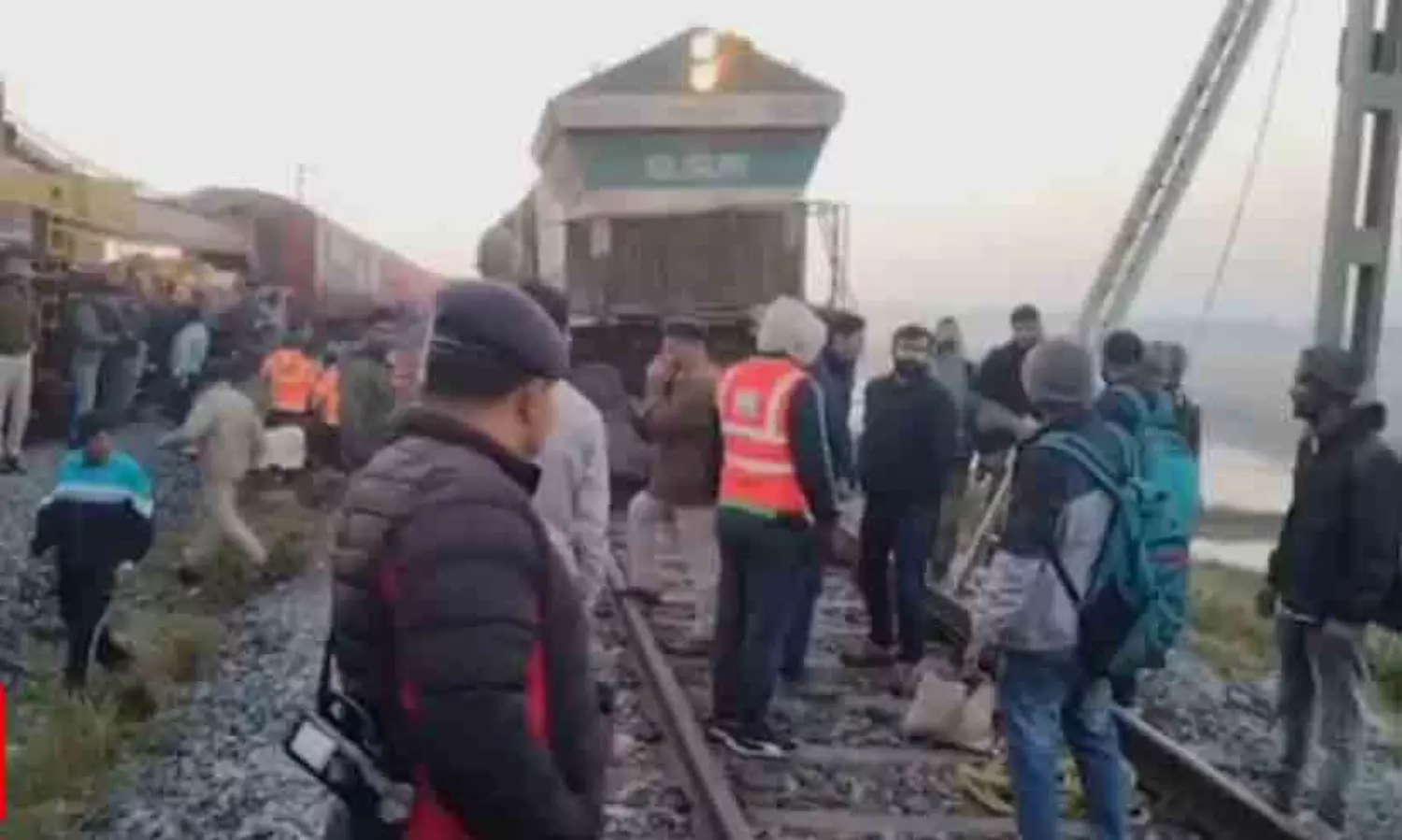 7 Elephants Killed After Collision In Assam