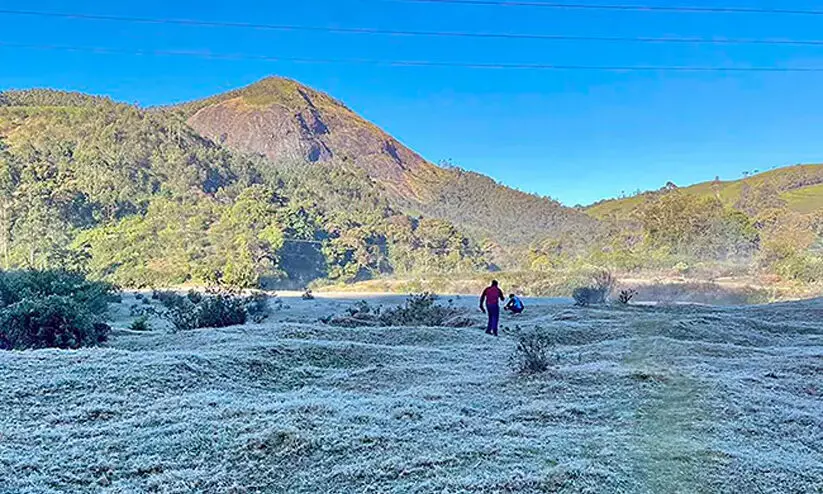 Moonar cold Moonar cold