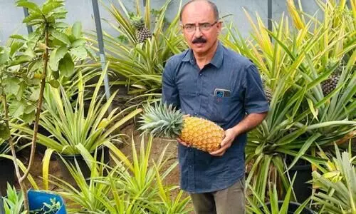 Agriculture Agriculture