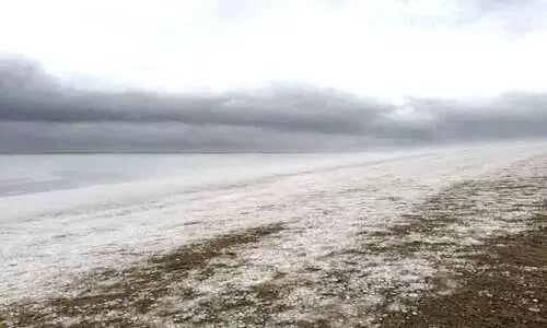 വ്യാപക മഴ; തണുത്ത കാലാവസ്ഥ