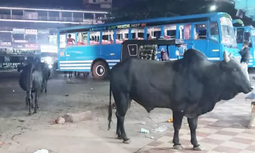 ബ​സ് സ്റ്റാ​ൻ​ഡ് കാ​ലി​ത്തൊ​ഴു​ത്താകുന്നു; പരിഹാരത്തിന് ഭ​ര​ണ​സ​മി​തി​യെ​ കാ​ത്ത് ജ​നം