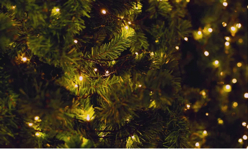 ആർഭാടങ്ങളോ ബഹളങ്ങളോ ഇല്ലാത്ത ആഘോഷം; ട്രെൻഡായി ‘ക്വയറ്റ് ക്രിസ്മസ്’