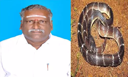 ഇൻഷുറൻസ് തുക തട്ടിയെടുക്കാൻ മക്കൾ പിതാവിനെ പാമ്പിനെക്കൊണ്ട് കടിപ്പിച്ചുകൊന്നു