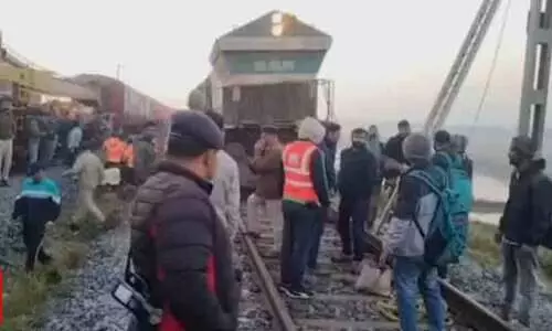 7 Elephants Killed After Collision In Assam 7 Elephants Killed After Collision In Assam