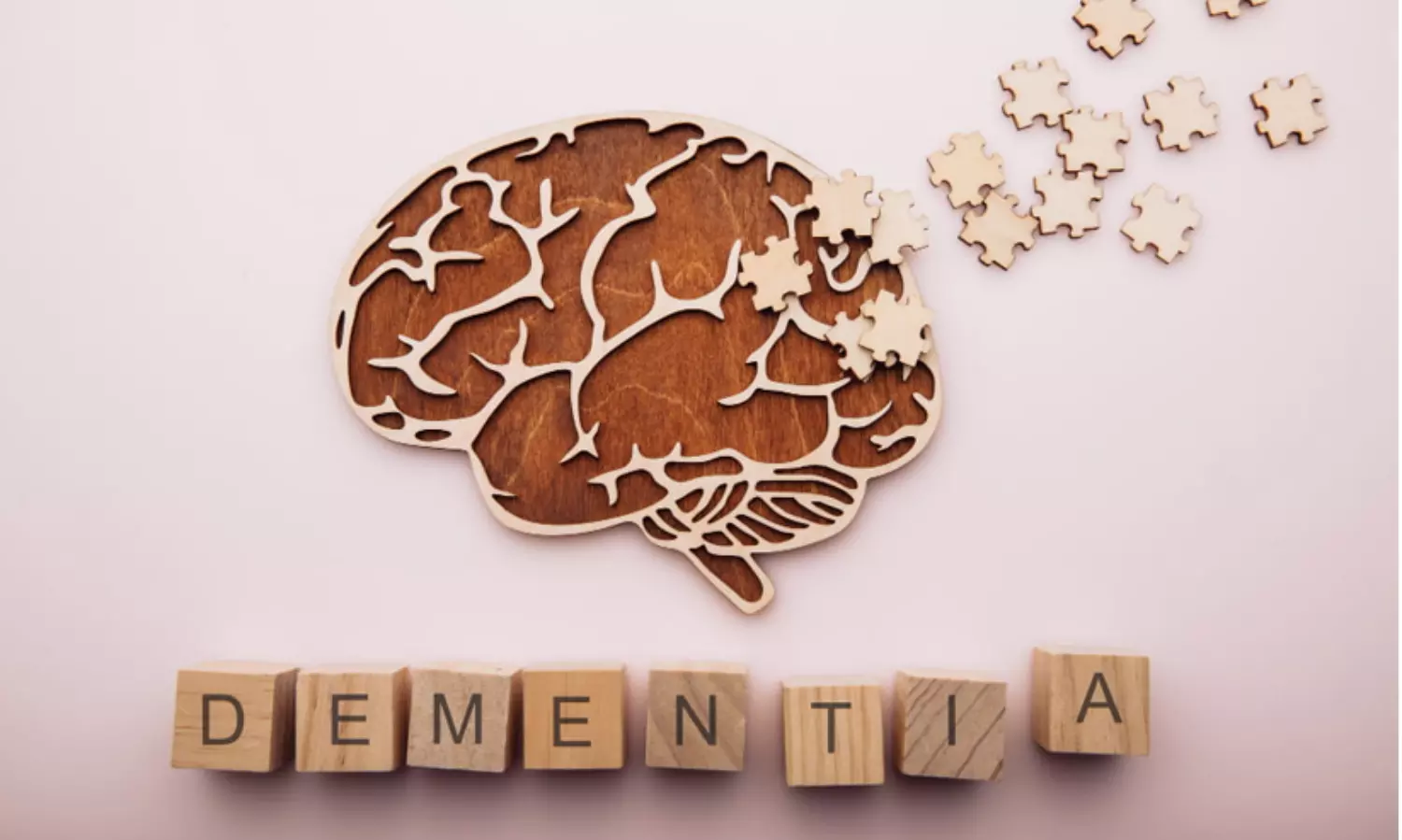 ശ്രദ്ധിക്കുക ഡിമെൻഷ്യയുടെ ഈ ആറ് പ്രാഥമിക ലക്ഷണങ്ങളെ