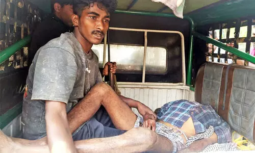 Tiger Attack in Pulpally