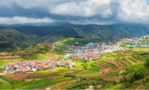 ഭരതേട്ടനെന്ന   വലിയ മനസ്സ്