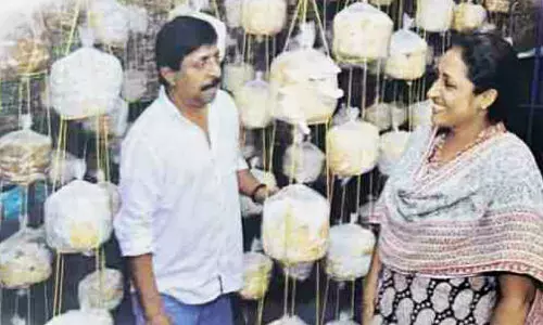 കൂൺകൃഷി പ്രേമം; ചിരിയുടെ രാജകുമാരൻ നേരിട്ടെത്തി