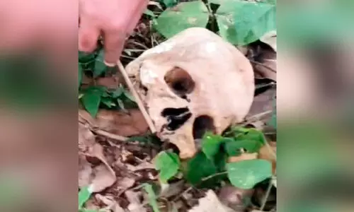 തലയോട്ടിയും അസ്ഥികൂടവും കണ്ടെത്തിയ സംഭവം; മൃതദേഹം നായ്ക്കൾ ഭക്ഷിച്ചതായി സംശയം