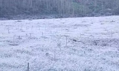 മൈനസ് ഒന്ന്​; തണുത്തുവിറച്ച്​ മൂന്നാർ