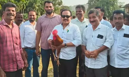 നി​രോ​ധി​ത കോ​ഴിയങ്ക​ത്തി​ന് നേ​തൃ​ത്വം ന​ൽ​കി; എം.​എ​ൽ.​എ​ക്കെ​തി​രെ കേ​സ്