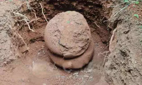 അപൂർവയിനം നന്നങ്ങാടി കണ്ടെത്തി