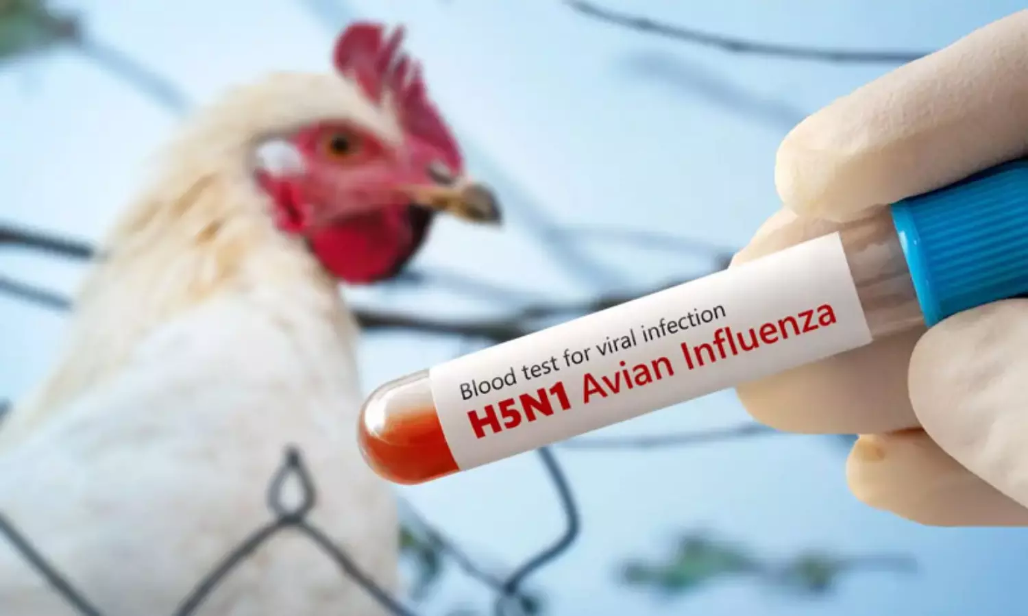 കോ​ട്ട​യത്തും, ആ​ല​പ്പു​ഴയിലും പക്ഷിപ്പനി: ജാഗ്രതാ നിർദേശവുമായി ആരോഗ്യവകുപ്പ്