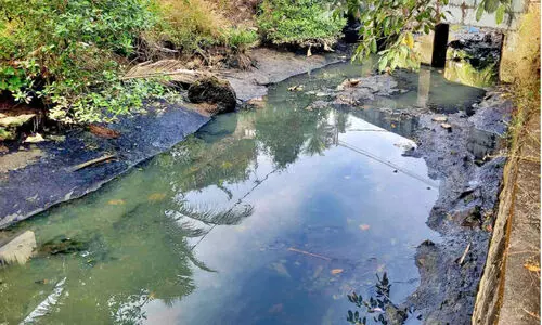 ദു​രി​ത​ത്തി​ന​റു​തി​യി​ല്ല; എ​ങ്ങു​മെ​ത്താ​തെ ഒ.​വി.​സി തോ​ട് ന​വീ​ക​ര​ണം