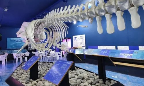 നാച്വറൽ ഹിസ്റ്ററി മ്യൂസിയം ജനുവരി ഒന്നുമുതൽ അടച്ചിടും