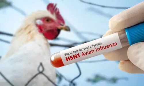 കോ​ട്ട​യത്തും, ആ​ല​പ്പു​ഴയിലും പക്ഷിപ്പനി: ജാഗ്രതാ നിർദേശവുമായി ആരോഗ്യവകുപ്പ്