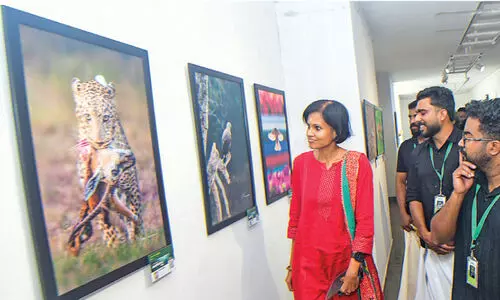 ശ്രദ്ധേയമായി ‘കാനനം’ വന്യജീവി ഫോട്ടോ പ്രദർശനം