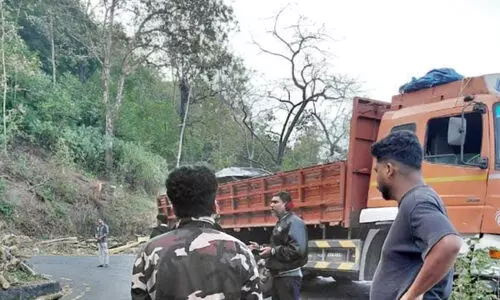 ചുരത്തിൽ വീണ്ടും യാത്രാ ദുരിതം; വളവിൽ ലോറി കുടുങ്ങി ഗതാഗതം നിലച്ചു