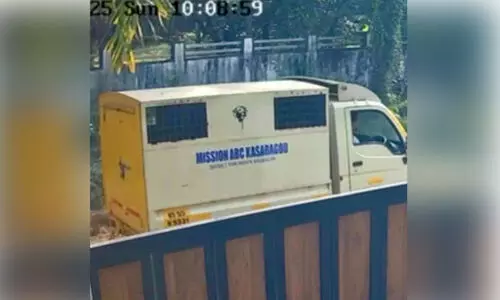 നായ്ക്കളെ ഒന്നിച്ച് തള്ളി; ‘പുലിവാൽ’ പിടിച്ച് അധികൃതർ