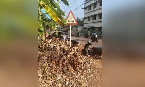 റവന്യൂ ജില്ല സ്കൂൾ കലോത്സവത്തിന് ദിനങ്ങൾ മാത്രം; സ്കൂൾ റോഡിലേക്ക് തിരിഞ്ഞുനോക്കാതെ പി.ഡബ്ല്യു.ഡി