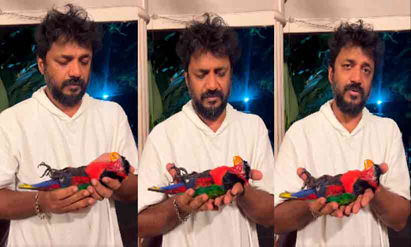 Samad Rakhman 'സമദിന്റെ 'രാജപ്പൻ' പോയി, ക്രിസ്മസ് രാത്രിയിൽ'; കണ്ണീരോടെ വൈറൽ തത്തയുടെ ...
