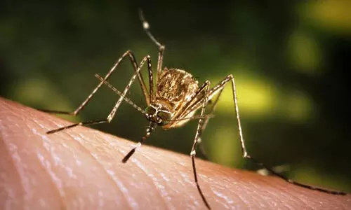 ജപ്പാന്‍ മസ്തിഷ്കജ്വരം; സൗജന്യ പ്രതിരോധ കുത്തിവെപ്പ് ജനുവരി മുതല്‍